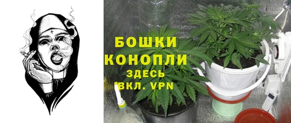 марки nbome Белокуриха